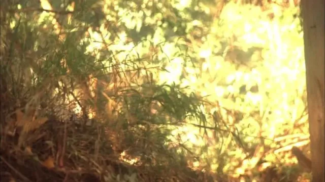 Кадры из сериала Говорящая с призраками (2005)